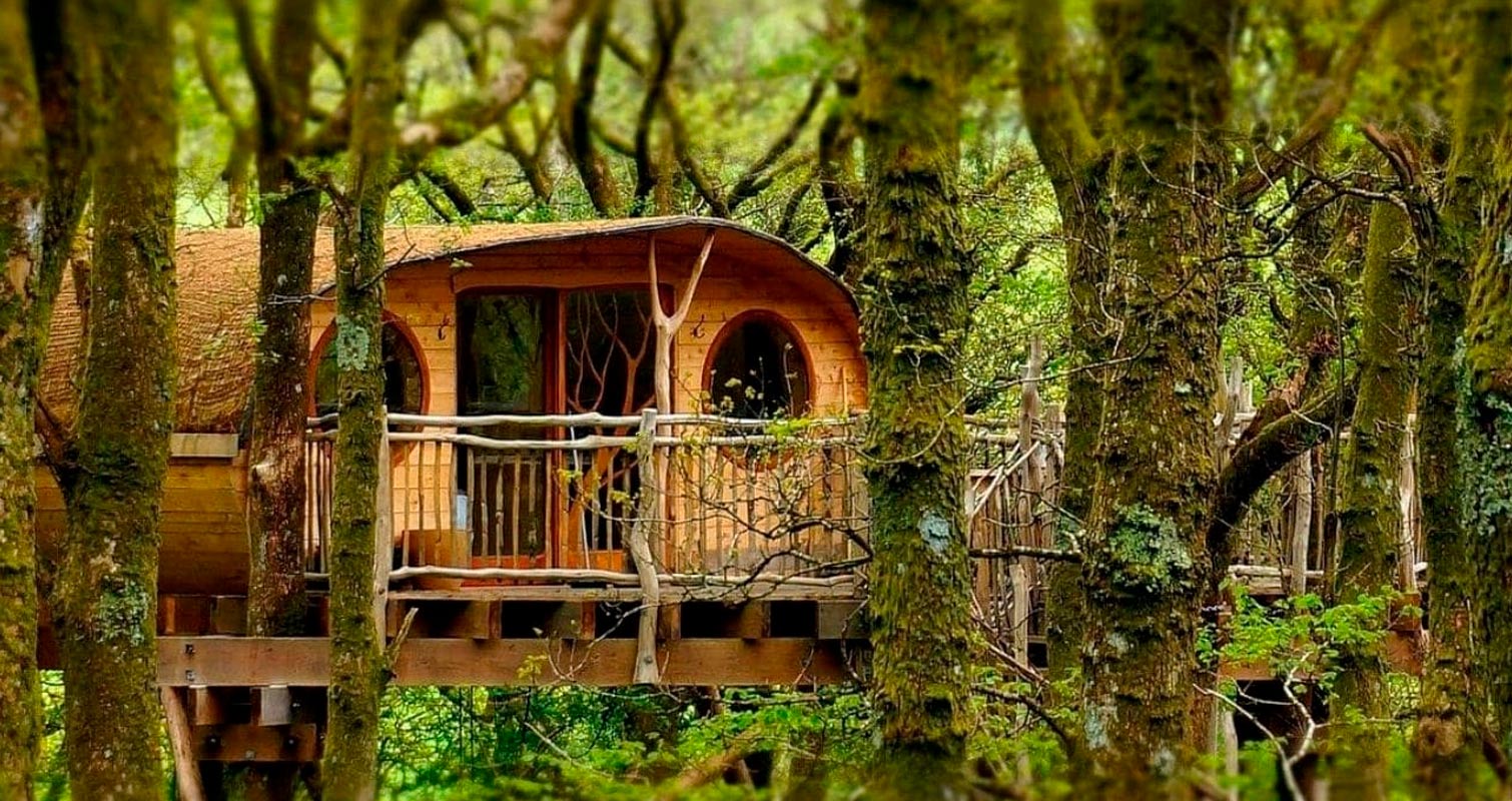 Treehouse Experience for Two