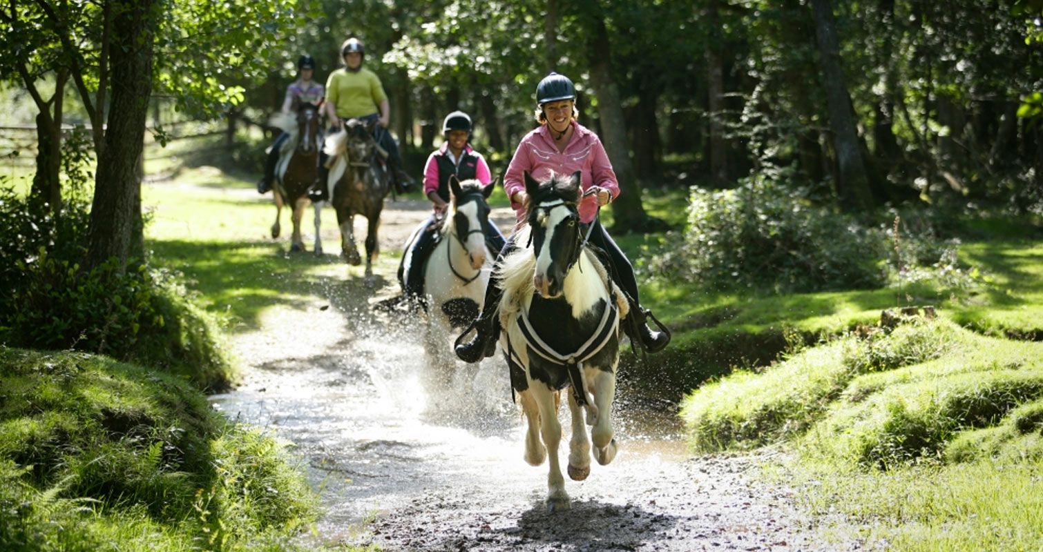 Western Horse Riding Trail and Lunch for Two
