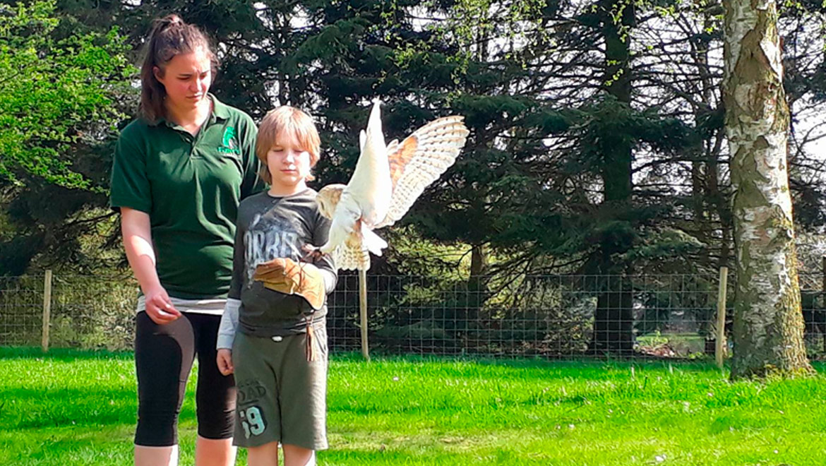 Fixters Falconry, Lincolnshire
